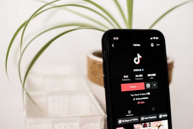 Harnessing Social Media to Amplify Your Brand’s Reach
